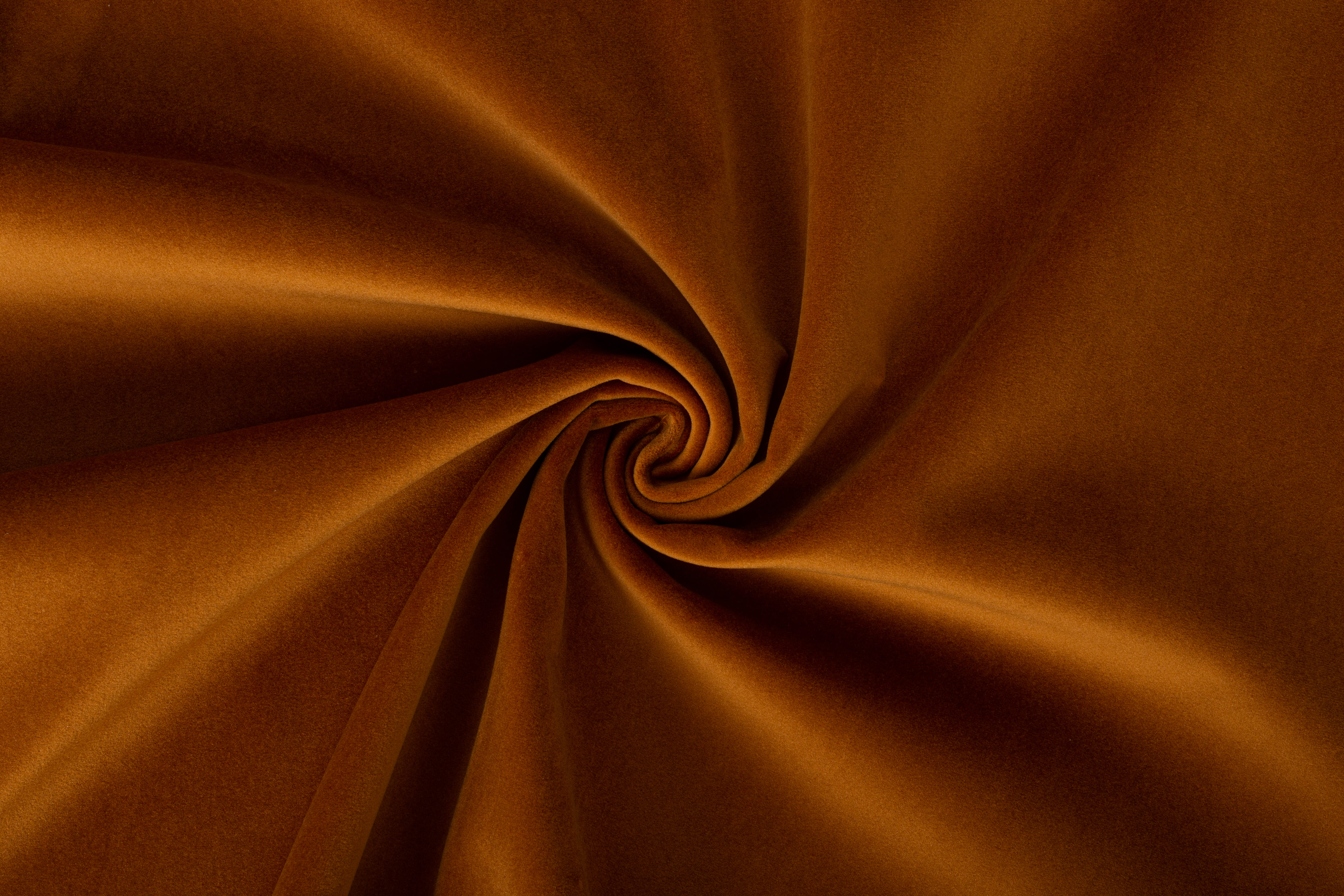 Paddington Paddington 31