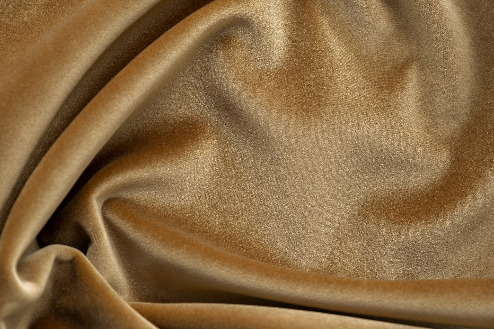 Paddington Paddington 14