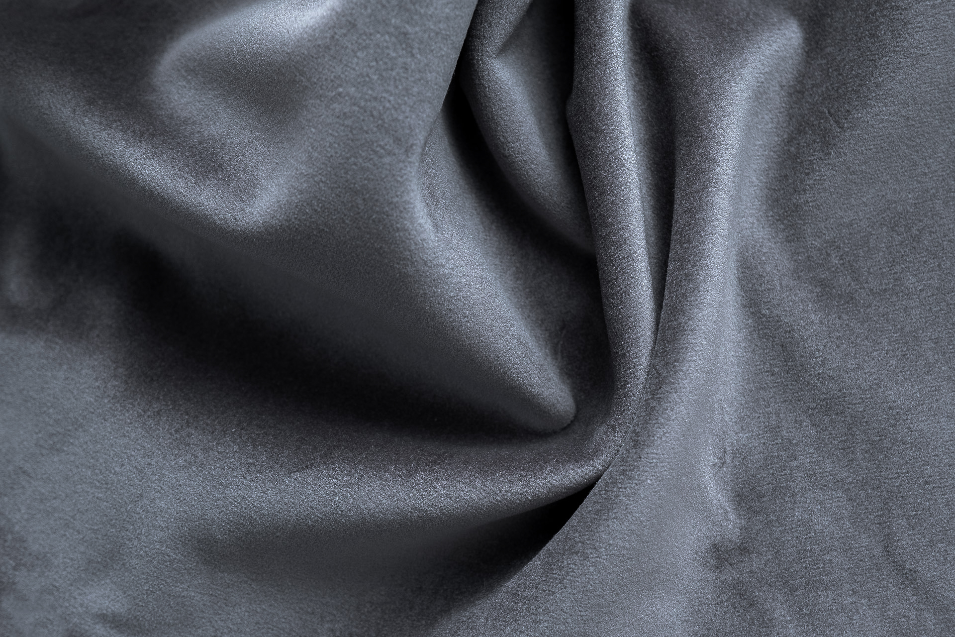 Paddington Paddington 21